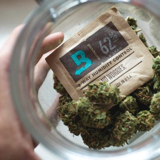Boveda for Herbal Storage | 62% RH 2-Way Humidity Control | Size 8 Protects Up to 1 Ounce (30 Grams) Flower | Prevent Terpene Loss Over Drying and Molding | 10-Count Resealable Bag - Image 3