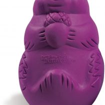Busy Buddy Squirrel Dude, Interactive Treat Dispensing Dog Toy - Chew Toy, Large Dogs