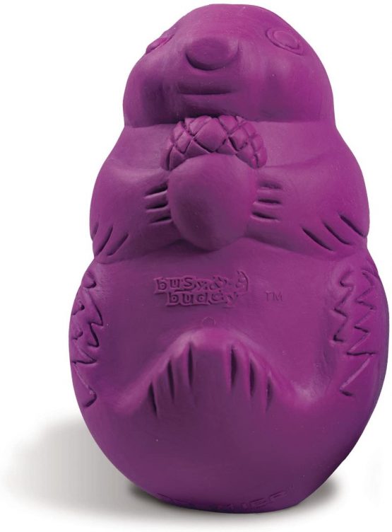 Busy Buddy Squirrel Dude, Interactive Treat Dispensing Dog Toy - Chew Toy, Large Dogs
