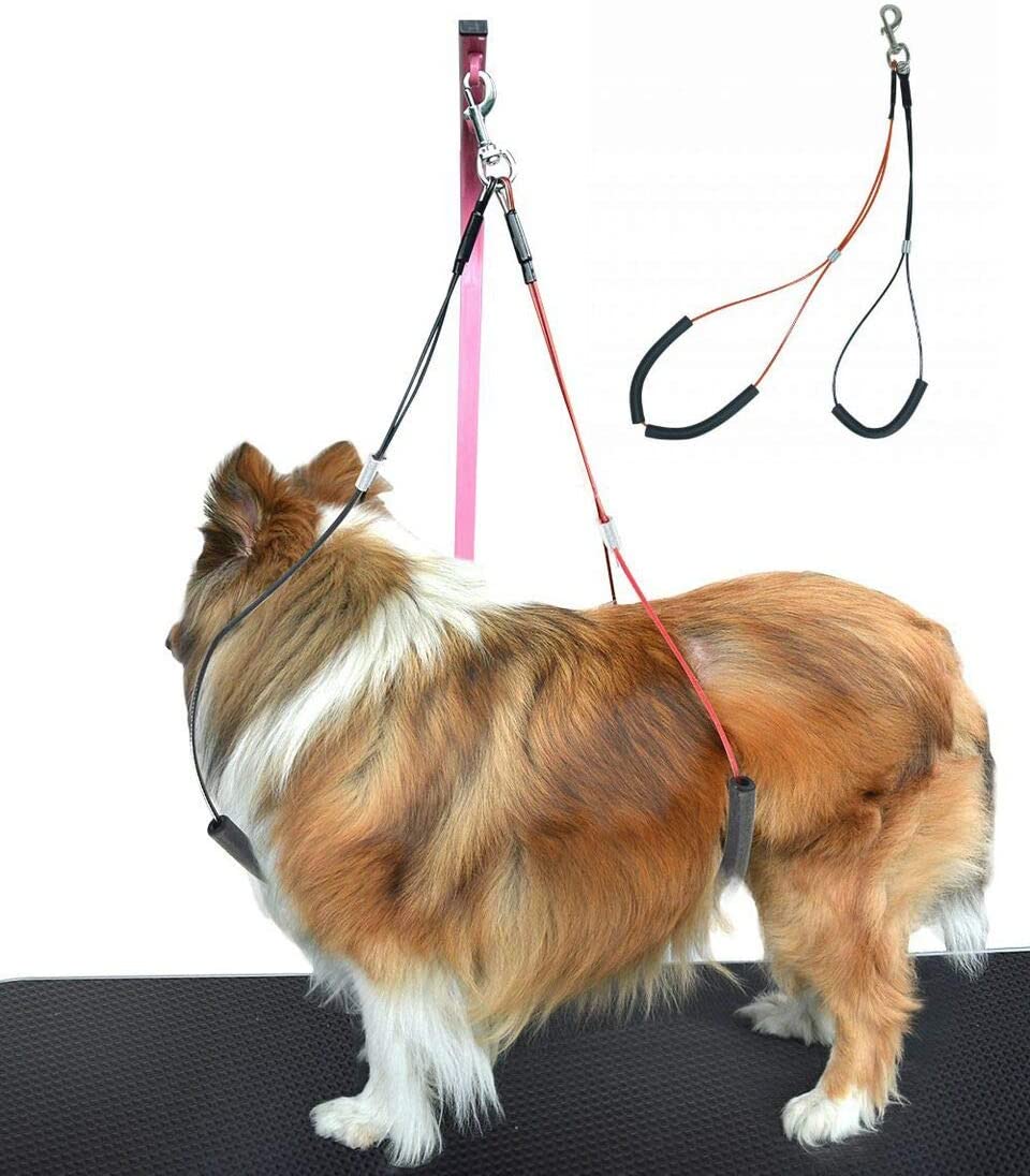 Gravitis Pet Supplies Dog Grooming Loop Set - Neck and Haunch Holder for use with Dog Grooming Table - Large Red for Small/Medium dogs - Image 4