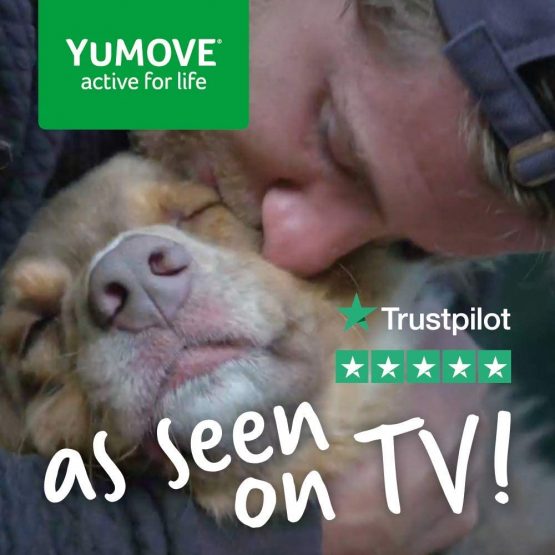 Lintbells | YuMOVE Adult Dog | Hip and Joint Supplement for Stiff Adult Dogs, with Glucosamine, Chondroitin, Green Lipped Mussel | Aged 6 to 8 | 120 Tablets - Image 3
