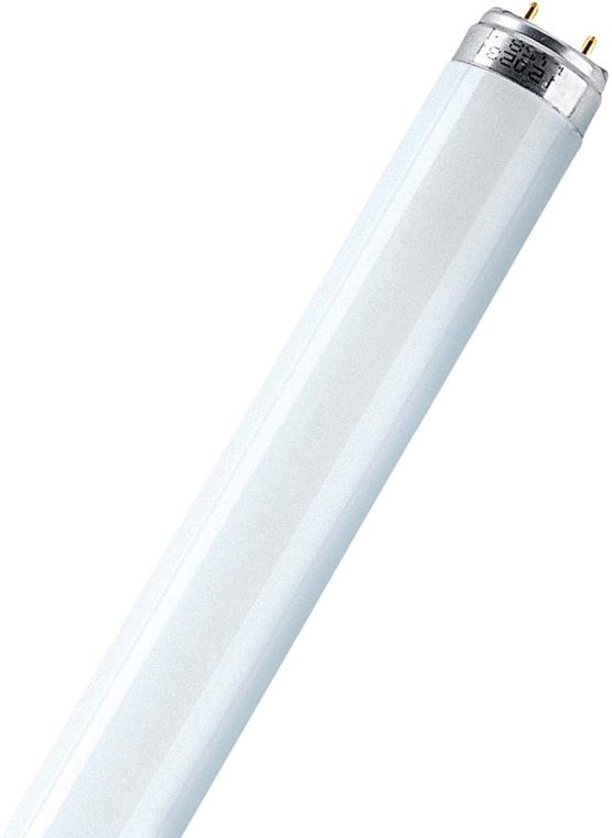 Osram Fluorescent Light L 30 Watt 865 Daylight 30 W