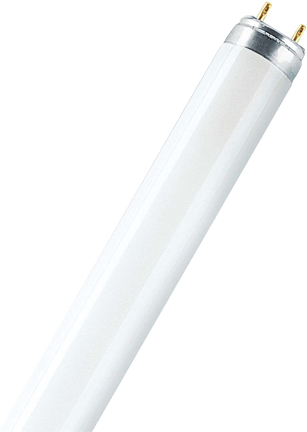Osram 16 Watt Lumilux T8 Fluorescent Lamp Sockets, White - Image 2