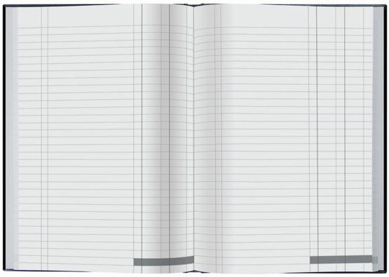 Collins 6424 Ideal Case Bound A4 Double Cash Book 192 Pages - Image 2