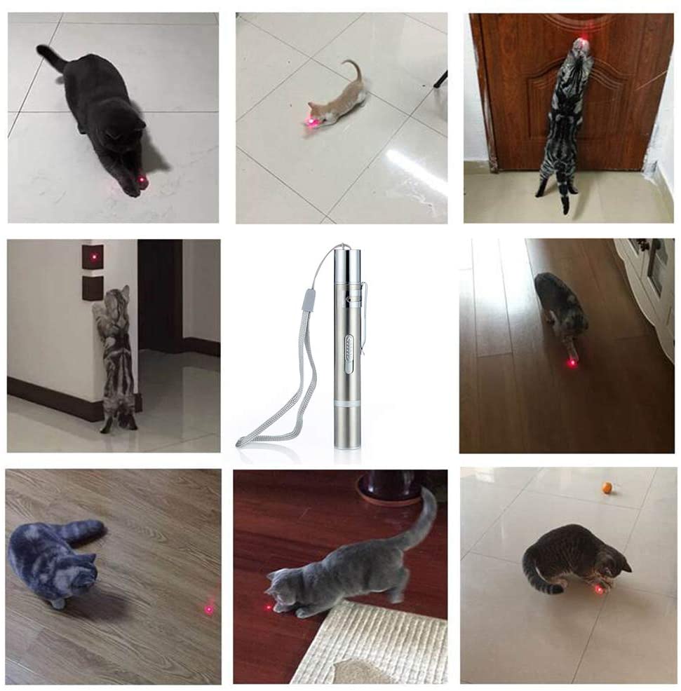jiuhao Cat Toy Interactive Indoor Play for Kitten Chaser Exercise,Hunting Instinct Stimulation, silver - Image 4