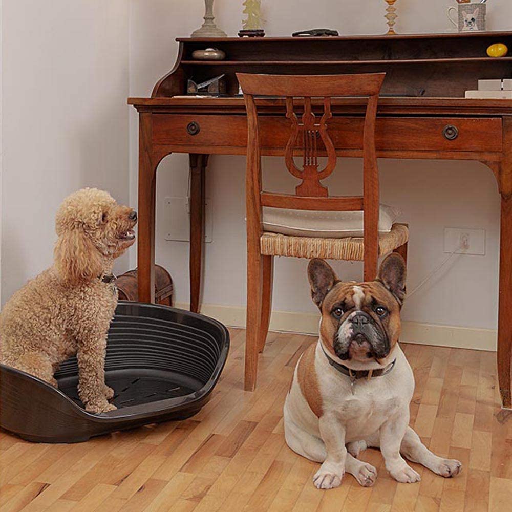 Ferplast Cat Bed, Plastic Dog Bed Medium, Ventilation Holes and Non-Slip Rubber Feet for Added Stability 70,5 x 52 x h. 23.5 cm. White - Image 3