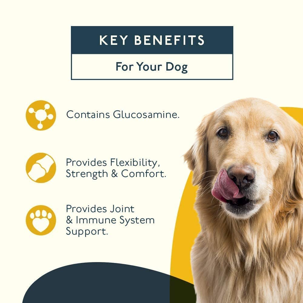 PetLab Co. Joint Care Chews, Daily Joint Supplements For Dogs, Help Promote An Active & Healthy Life, Rich In Glucosamine - Image 4