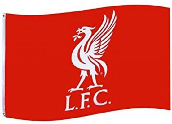Liverpool FC Unisex – Adult's FC Liverpool YNWA Fahne 90 x 150 cm Flag, red, M - Image 2