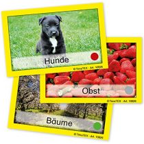 TimeTex Team Education Cards in Case