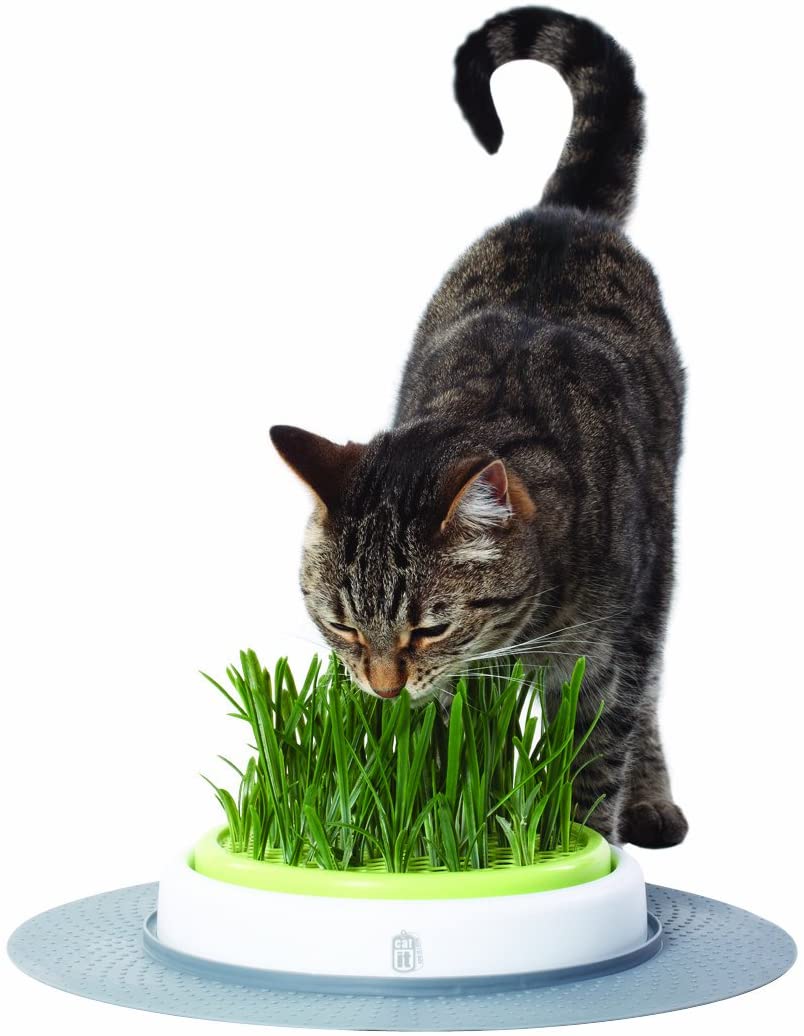 Catit Senses Grass Garden, multi, 739.35 g (Pack of 1)