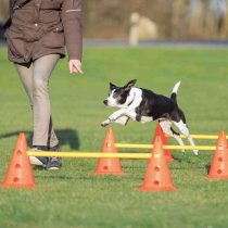Trixie Dog Agility Obstacles, set 3 pcs.