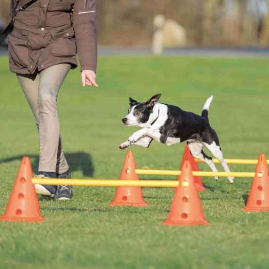 Trixie Dog Agility Obstacles, set 3 pcs.