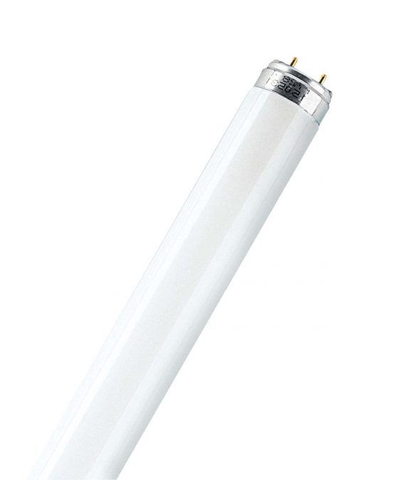 Osram 0140-015840o#1 15w T8 Triphosphor Fluorescent tube Cool White (4000k) Lamps - Image 2