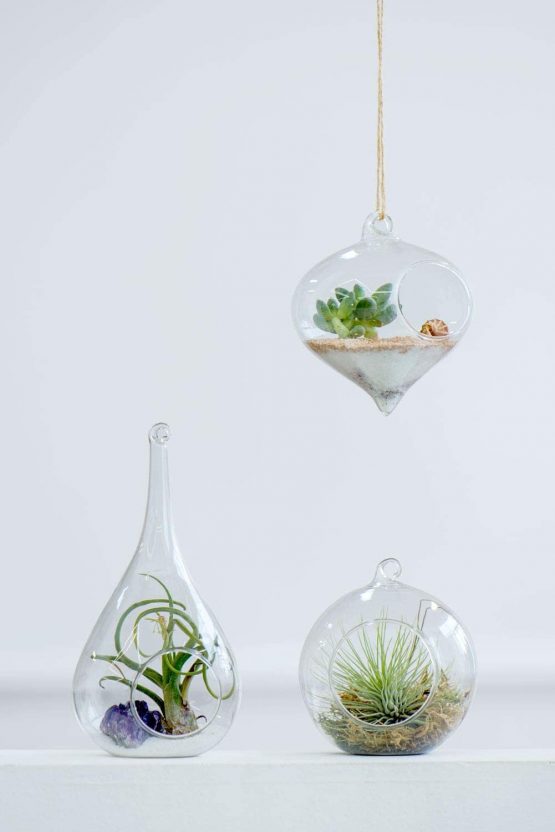 Mkouo 3 Pack Glass Hanging Planter Air Fern Holder Terrarium Plants Hanger Vase Home Decoration for Succulent Moss Tillandsias Air Plants, Olive, Globe and Teardrop - Image 2