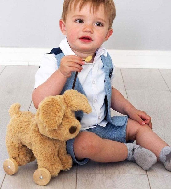 Brand: Little Bird Told Me Dexter Dog Pull Along, 200 g - Image 2