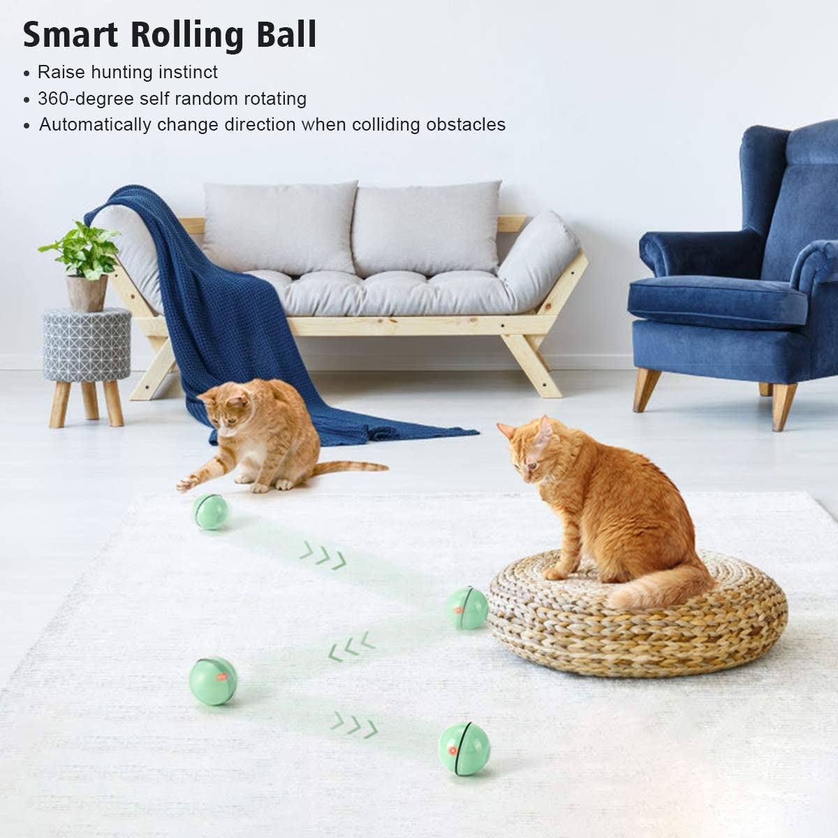 cat toys ball in circle