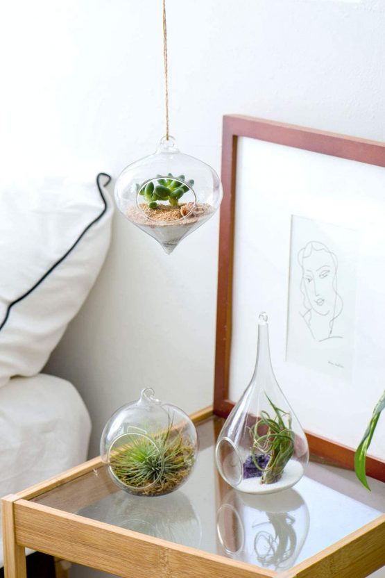Mkouo 3 Pack Glass Hanging Planter Air Fern Holder Terrarium Plants Hanger Vase Home Decoration for Succulent Moss Tillandsias Air Plants, Olive, Globe and Teardrop - Image 3