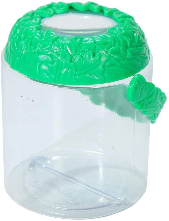 Insect Lore Magnifying Jar (Multi-Colour) - Image 3