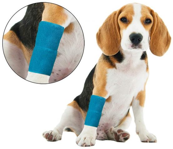 SourceTon 10 Pieces Self Adhering Bandage, Injury Wrap Tape for Dogs Cats, Supports Muscles and Joints, Does Not Stick to Hair, Elastic, Breathable, Relieves Stress - Image 4
