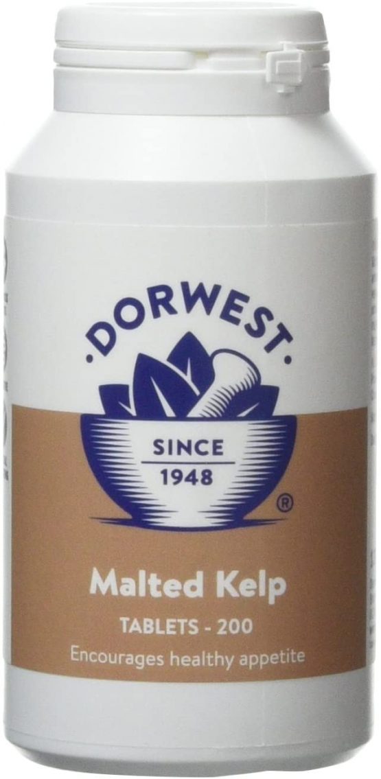 DORWEST HERBS Malted Kelp Tablets for Dogs and Cats 200 Tablets