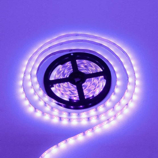 LightingWill 24 Watts UV Black Light LED Strip, 16.4FT/5M 3528 300LEDs 395nm-405nm Non-Waterproof Blacklight Night Fishing Sterilization Implicitly Party with 12V 2A Power Supply - Image 3