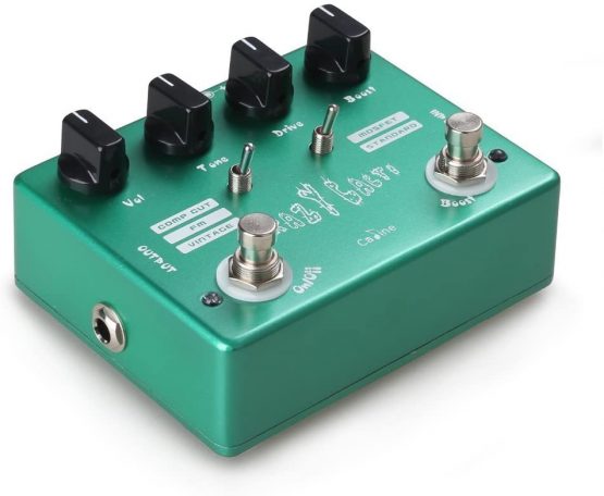 Caline CP-20 Crazy Cacti Overdrive - Image 4