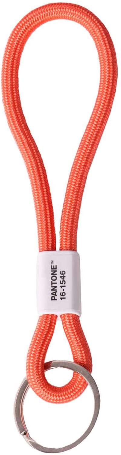 Copenhagen Design Pantone Pantone Key Chain Keyring 18 centimeters Orange (Living Coral 16-1546) 17864, Short