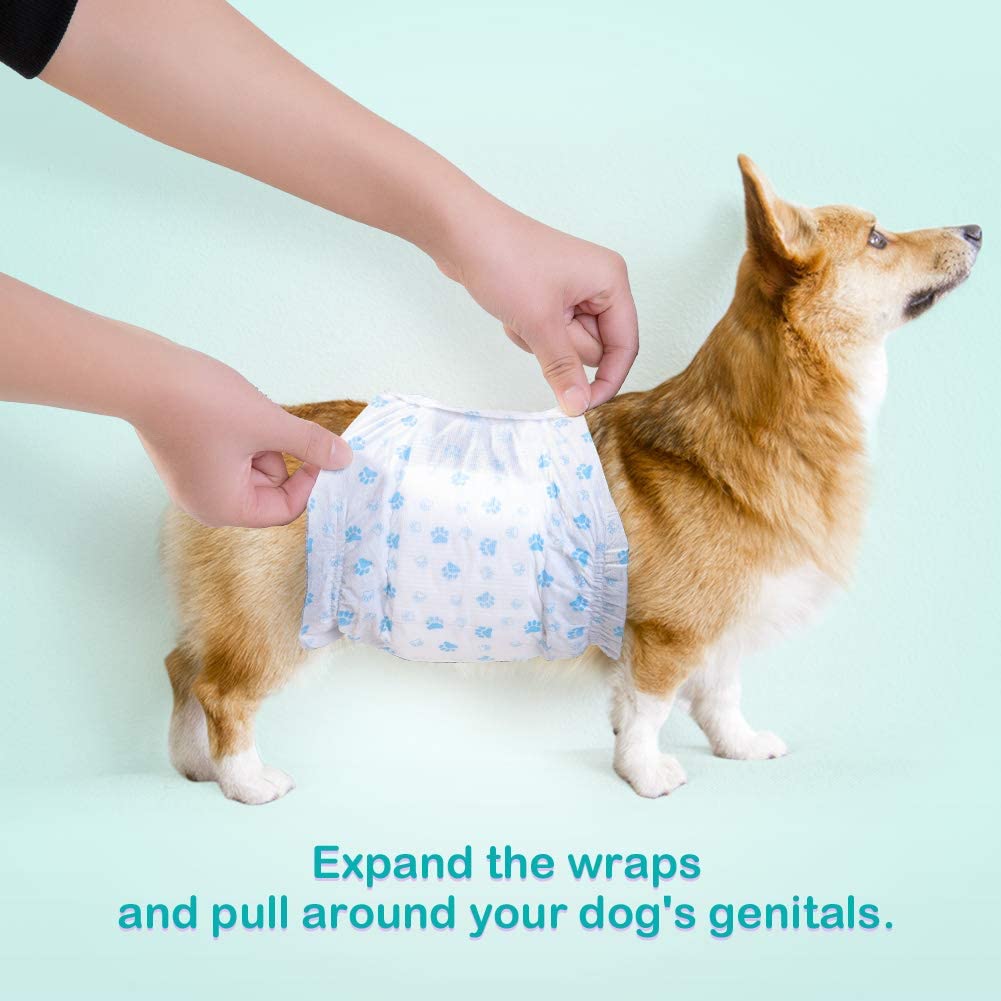 Pet Soft Male Dog Nappies, Disposable Pet Diapers Male Dog Wraps - Image 2