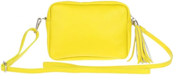Girly Handbags Tassel Plain Crossbody Camera Bag