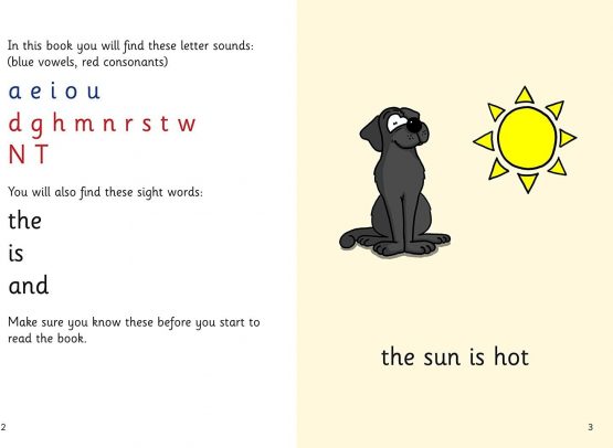Pack of 5 Phonics Readers Set 1 _ Simple Phonics Books to allow a child to gain confidence at their own pace - Image 2