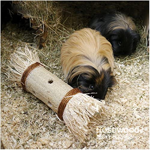 Rosewood Boredom Breaker Loofa Toss ‘n’ Treat Roller, Activity Toy for Small Animals, Clear - Image 2