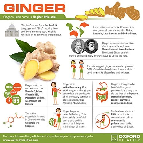 Ginger Tablets, 120 count (Pack of 1) - Image 4