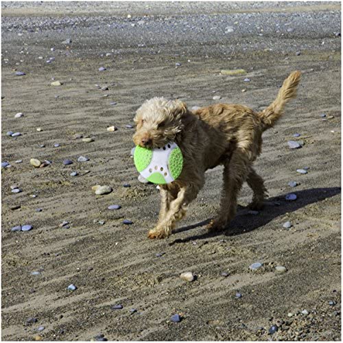 Rosewood Throw-n-Go Dental Saucer Dog Toy, 23 cm/9-Inch, green - Image 4