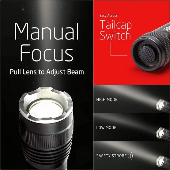 EVEREADY LED Torch, Adjustable Focus Tactical Flashlight, Water-Resistant For Camping, Outdoor, Powerful Pocket Torch - Image 3