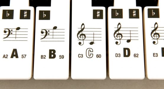 AccuKeys Keyboard & Piano Note Guide Stickers - Image 2
