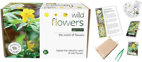 Flights of Fancy 85805 Wild Flowers Nature Kit, Brown, White - Image 2