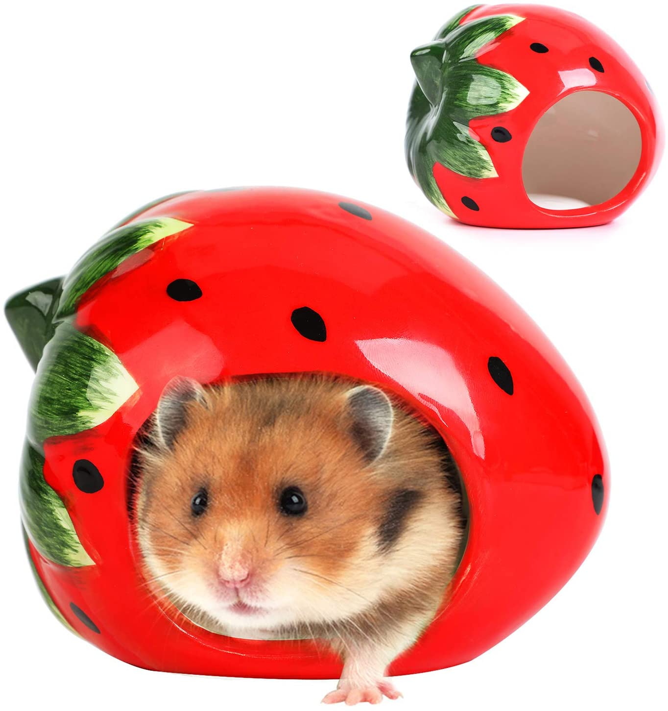 Bangcool Hamster Beds, Cartoon Cute Hamster House Fruit Strawberry