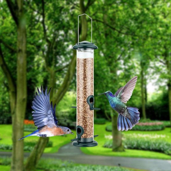 iBorn Bird Feeders Hanging Wild Bird Seed Feeder for Mix Seed Blends, Niger Seed Feeder, Sunflower Heart, Birdbath, Heavy Duty All Metal Green Finishing 14 Inch - Image 4