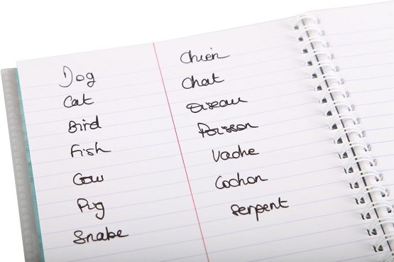 Clairefontaine 'Koverbook' Vocabulary Wirebound Book, 11 x 17 cm, Lined and Margin - Image 2