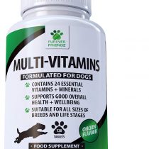Daily Multivitamin Supplement for Dogs - 120 Chewable Chicken Flavour Tablets – 24 Nutrients, Vitamins & Minerals - Helps with Brain, Heart, Eyes, Kidneys, Liver, Joint Function • Furever Friendz