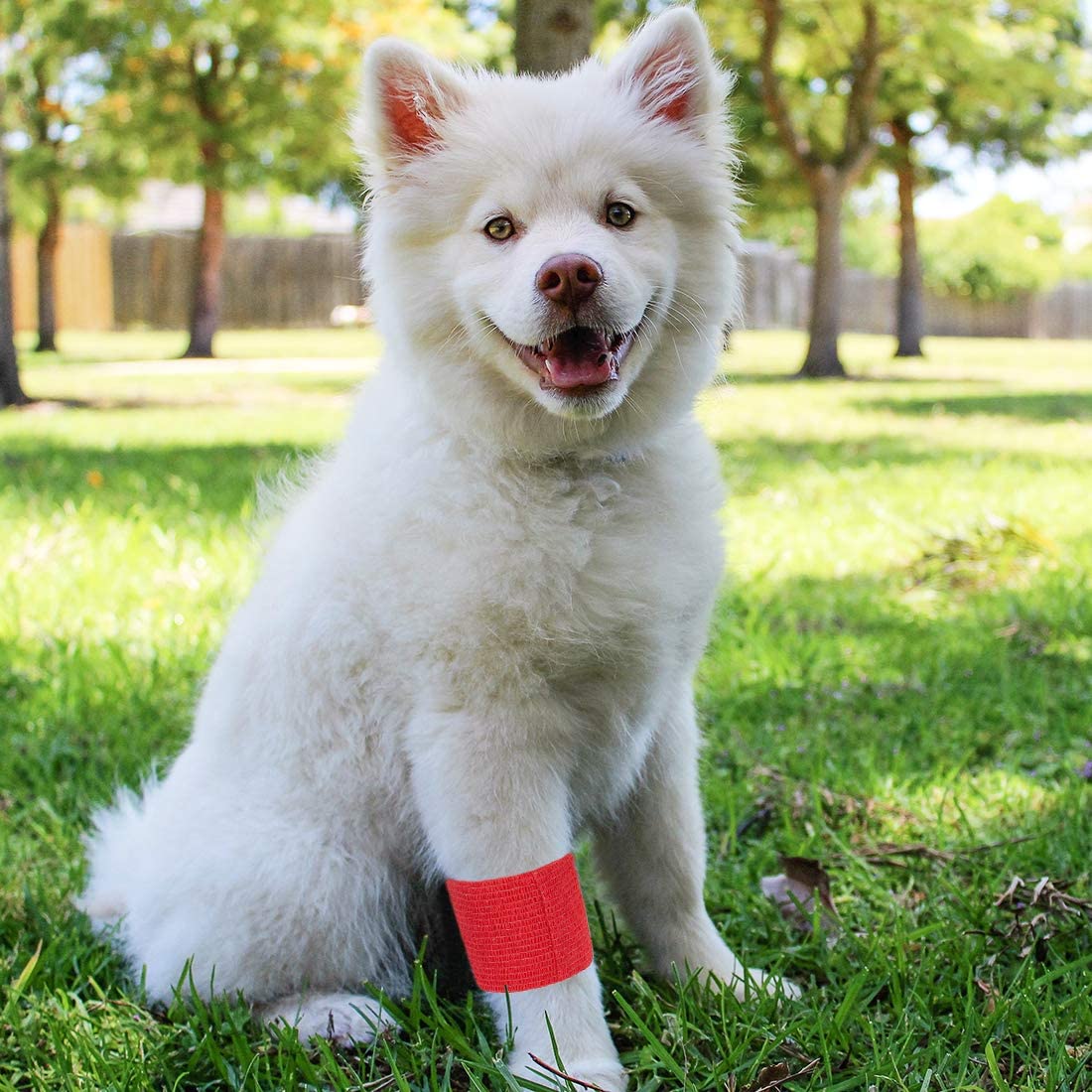 12 Pack Self Adherent Cohesive Bandages for Sports Travel First Aid Kit, Vet Wrap for Horses Dogs, 5 cm x 1.8 Metres, 6 Colours - Image 3