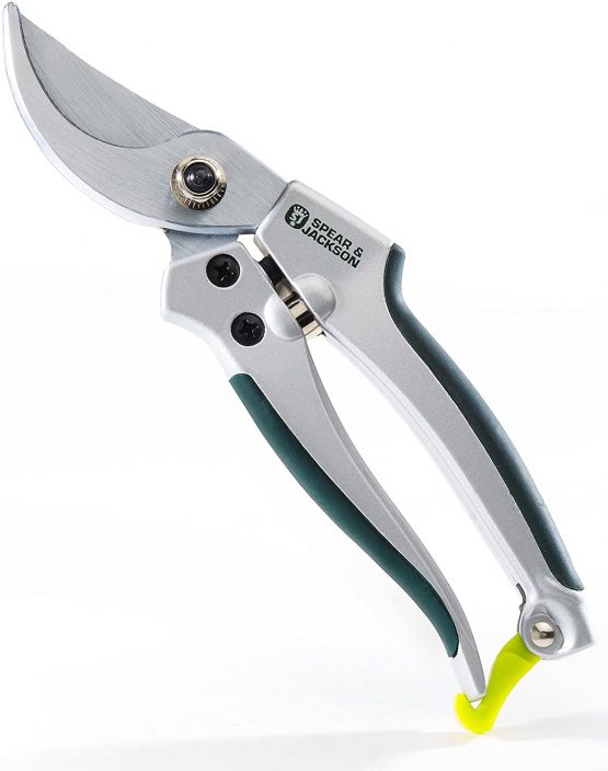 Spear & Jackson 4171LKEW Bypass Secateur with Metal Handle, Blue, Large