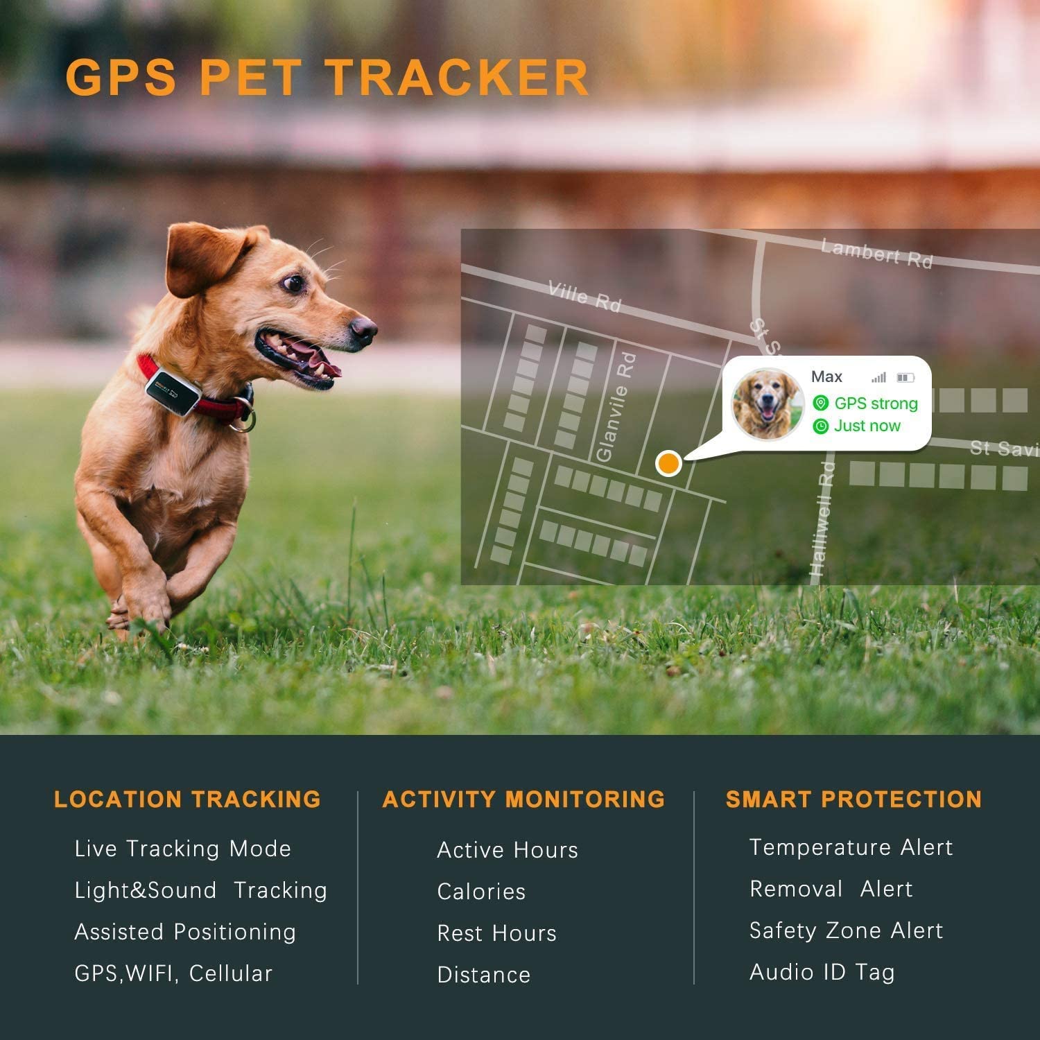 Pawfit 3 GPS Pet Tracker GPS Dog Tracker 4G Live Satellite Tracking, Multiple Smart Alerts - Image 3