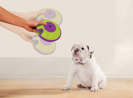 Nina Ottosson by Outward Hound Treat Maze Interactive Treat Puzzle Dog Toy, Intermediate - Image 4