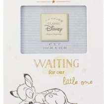 Disney Bambi My Scan baby Photo Frame 4x3