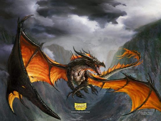 Arcane Tinmen ApS ART11802 Dragon Shield: Matte – Black, Non Glare (100), Multicoloured - Image 4