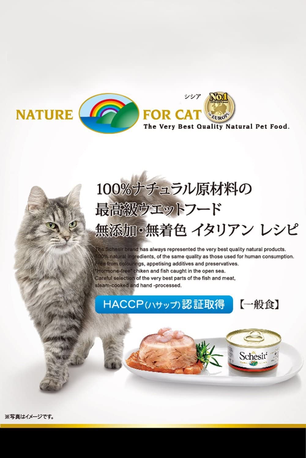 Schesir, Tuna with Alicette Jelly Complete Wet Food for Cats with Vitamins Added 100% Natural 6 x 85g Cans - Image 4