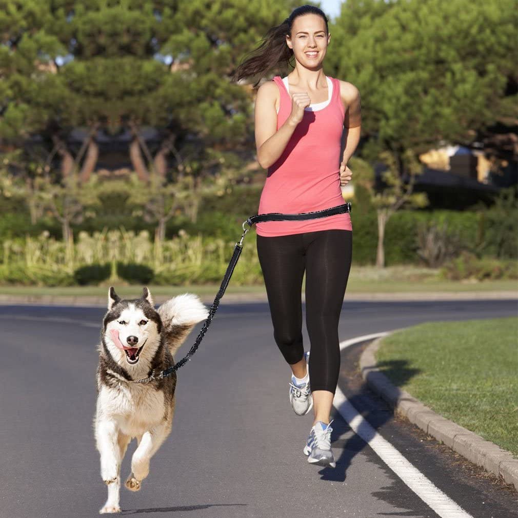 Hands Free Running Dog Lead, Multifunctional Adjustable Dog Leash, Dog Walking Lead