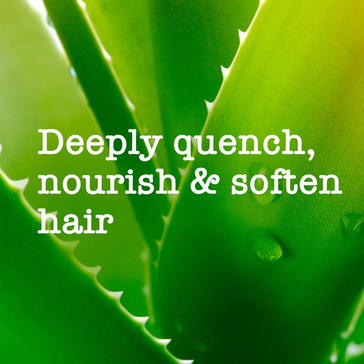 Maui Moisture Shea Butter Conditioner for Dry Damaged Hair, 385ml - Image 4