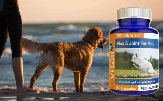 Flex A Joint for Pets. Glucosamine for Dogs and Cats Plus Chondroitin and MSM. 180 'Split and Pour' Capsules. - Image 3